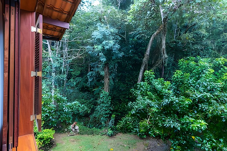 Casa em Secretário com Piscina Campo Sauna+3Suites